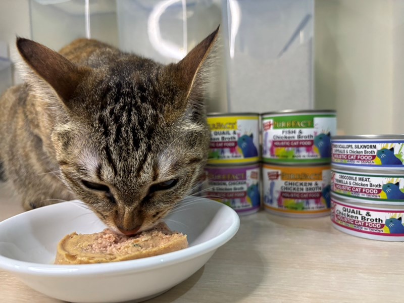女人知己試用大隊,口碑行銷,部落客行銷,PURRFACT 波菲特貓用主食罐,主食罐,PURRFACT波菲特,貓主食罐,貓罐,PURRFACT波菲特貓用主食罐,魚肉蔓越莓主食罐,鮮嫩雞主食罐,鹿肉雞肉主食罐,牛肉鵪鶉貓主食罐,干貝蠶蛹配方,鱷魚肉白木耳配方,雞肉魚肉配方,安心鶉配方,評價,體驗,適口性佳,心得,成貓適用,高齡貓適用,質地是慕絲狀